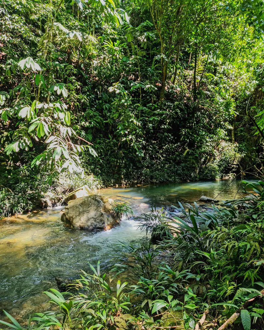Expedición La Danta