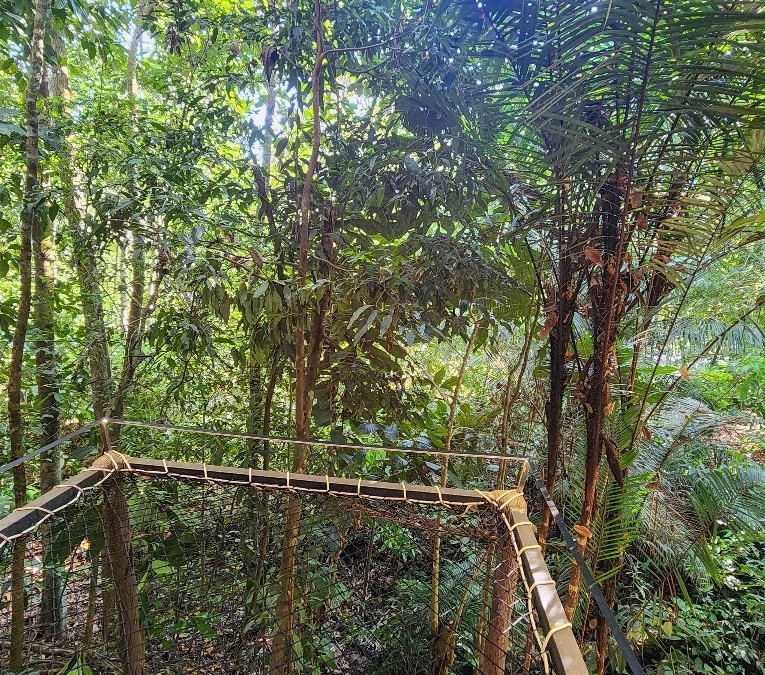 El sendero