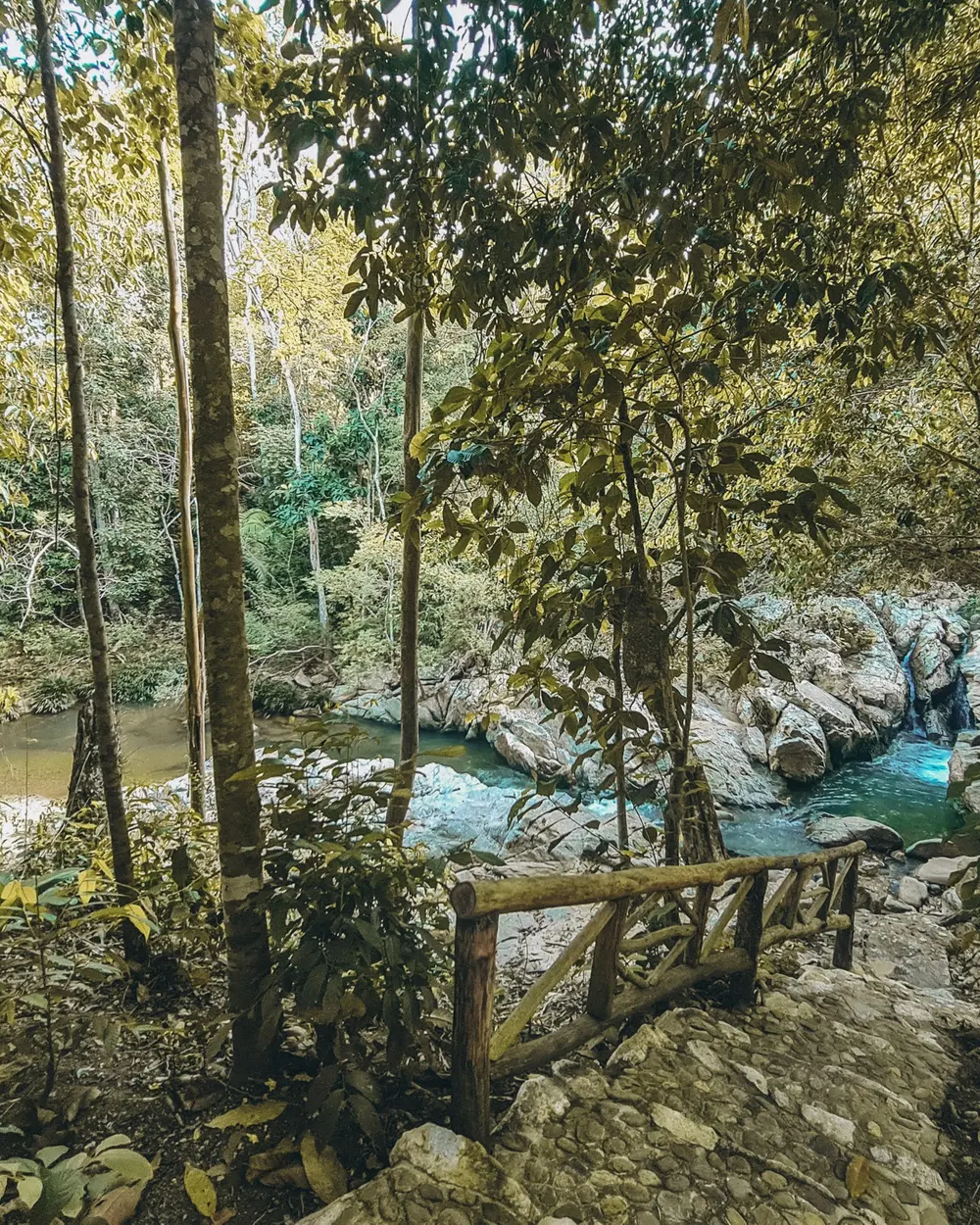 Bosque y río en el territorio de EntreAguas