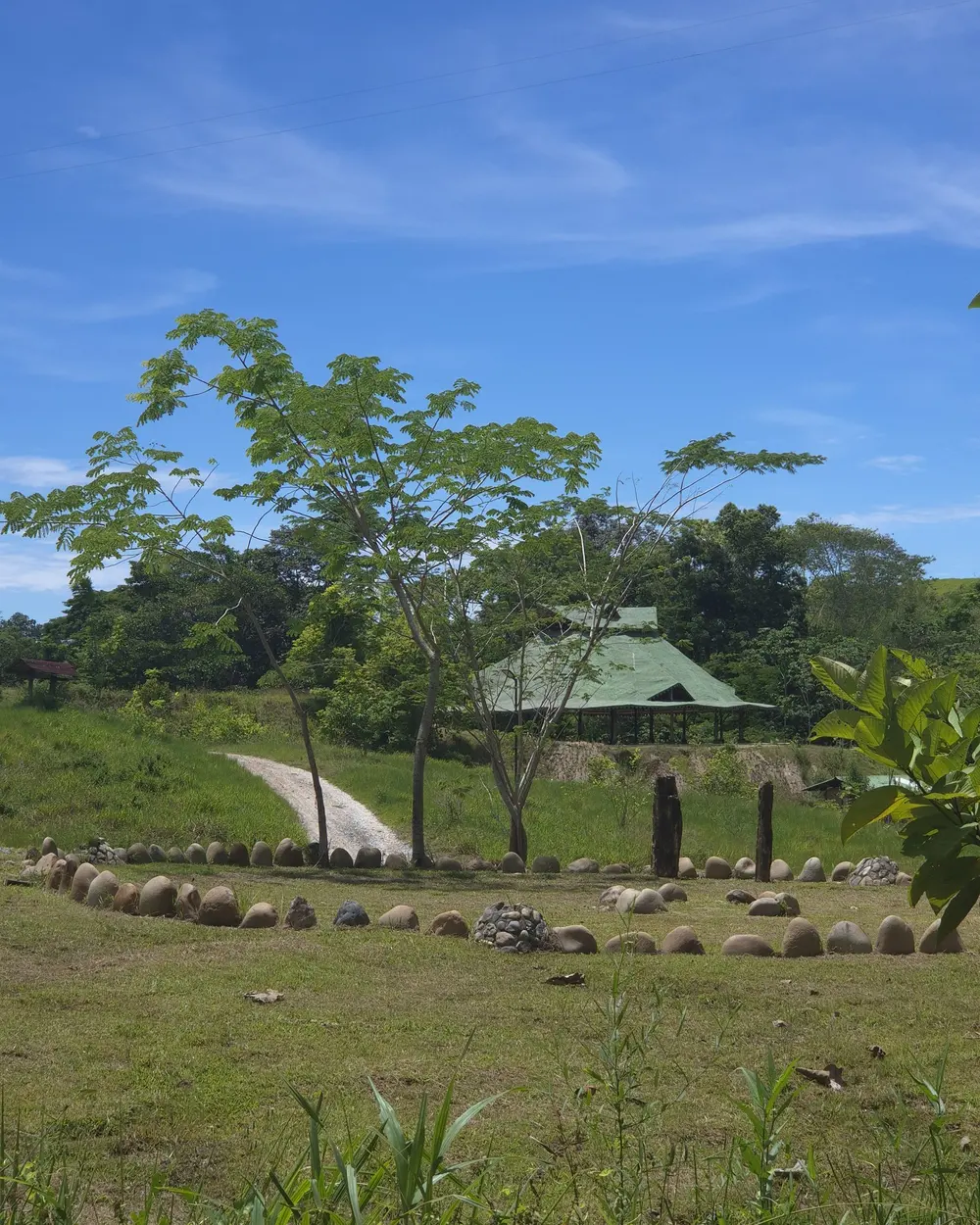 Espacio de encuentro en el prado, rodeado de bosque