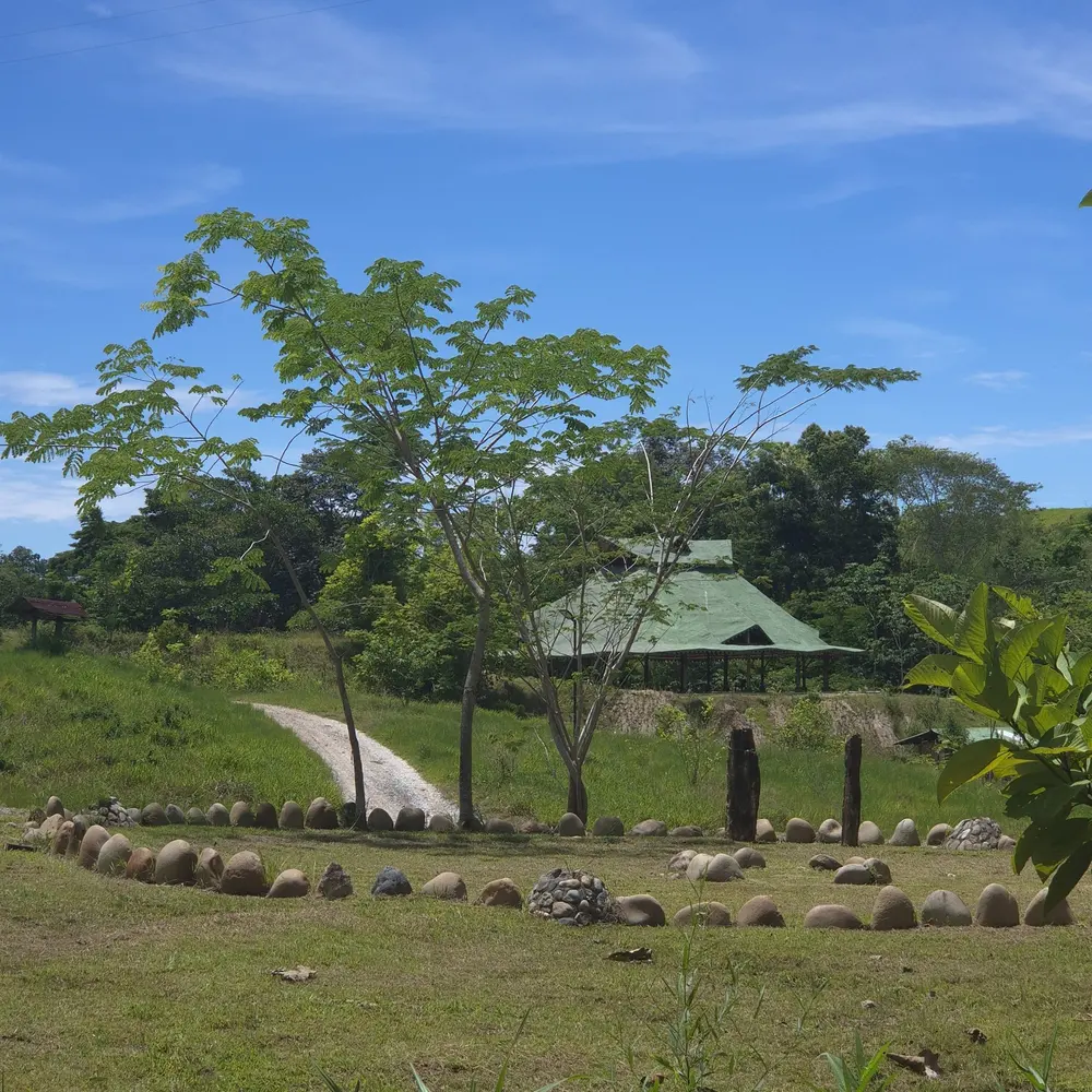 Espacio de encuentro en el prado, rodeado de bosque