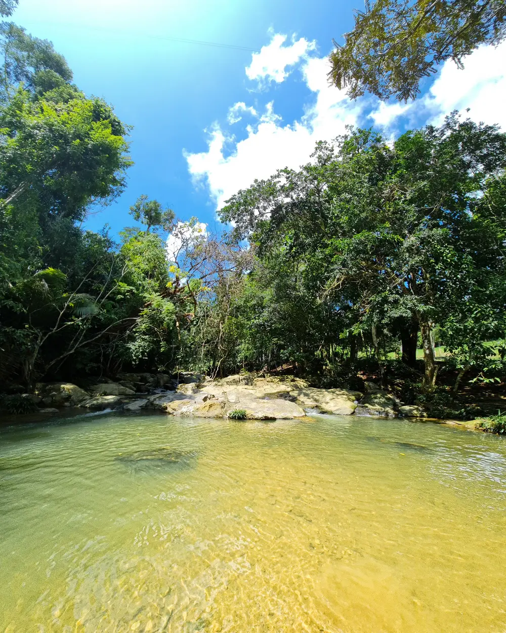 Pozo del río entre el bosque