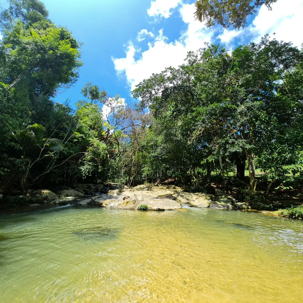 Pozo del río entre el bosque