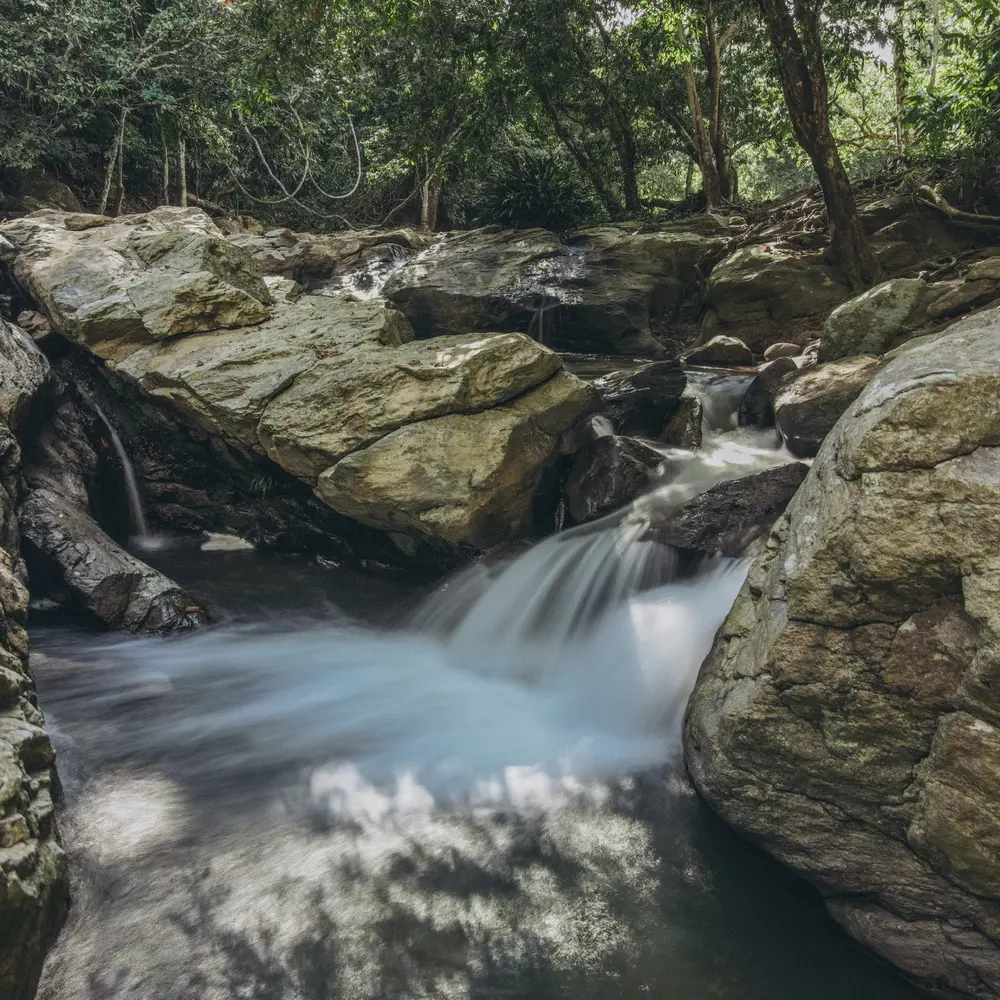 Río entre las piedras del bosque