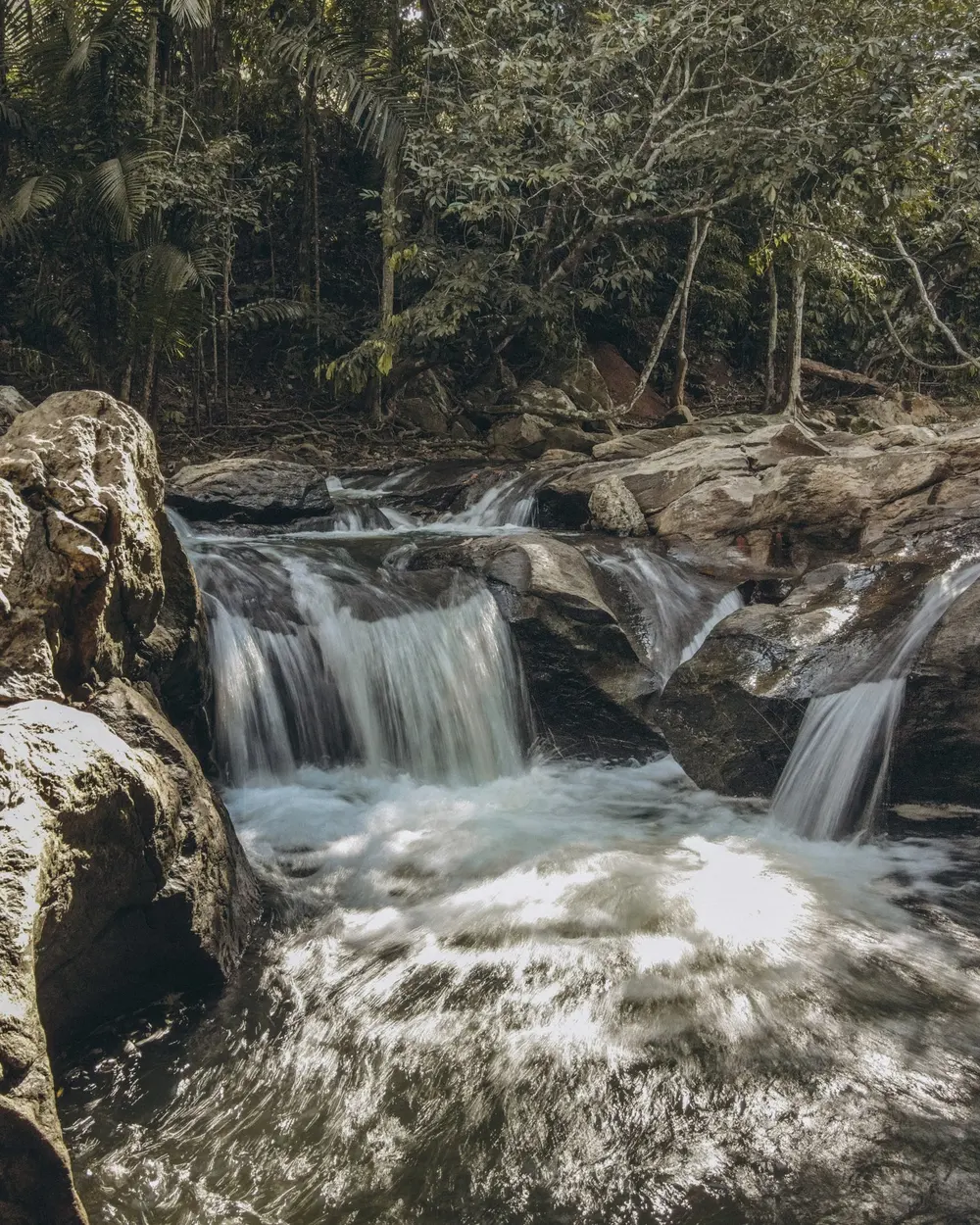 Saltos de agua del río entre las piedras