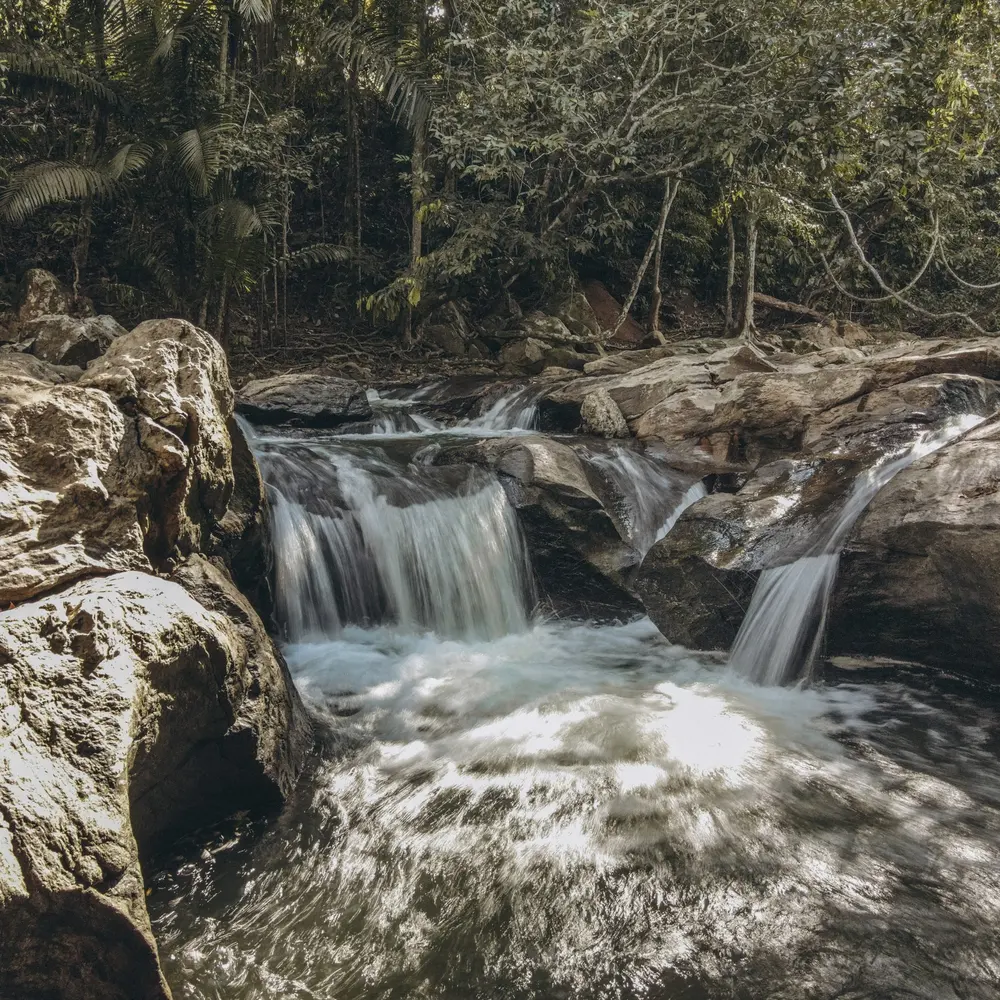 Saltos de agua del río entre las piedras