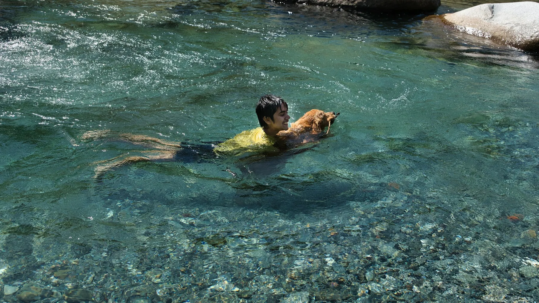 Un hombre nada en un río de agua clara junto a su perro