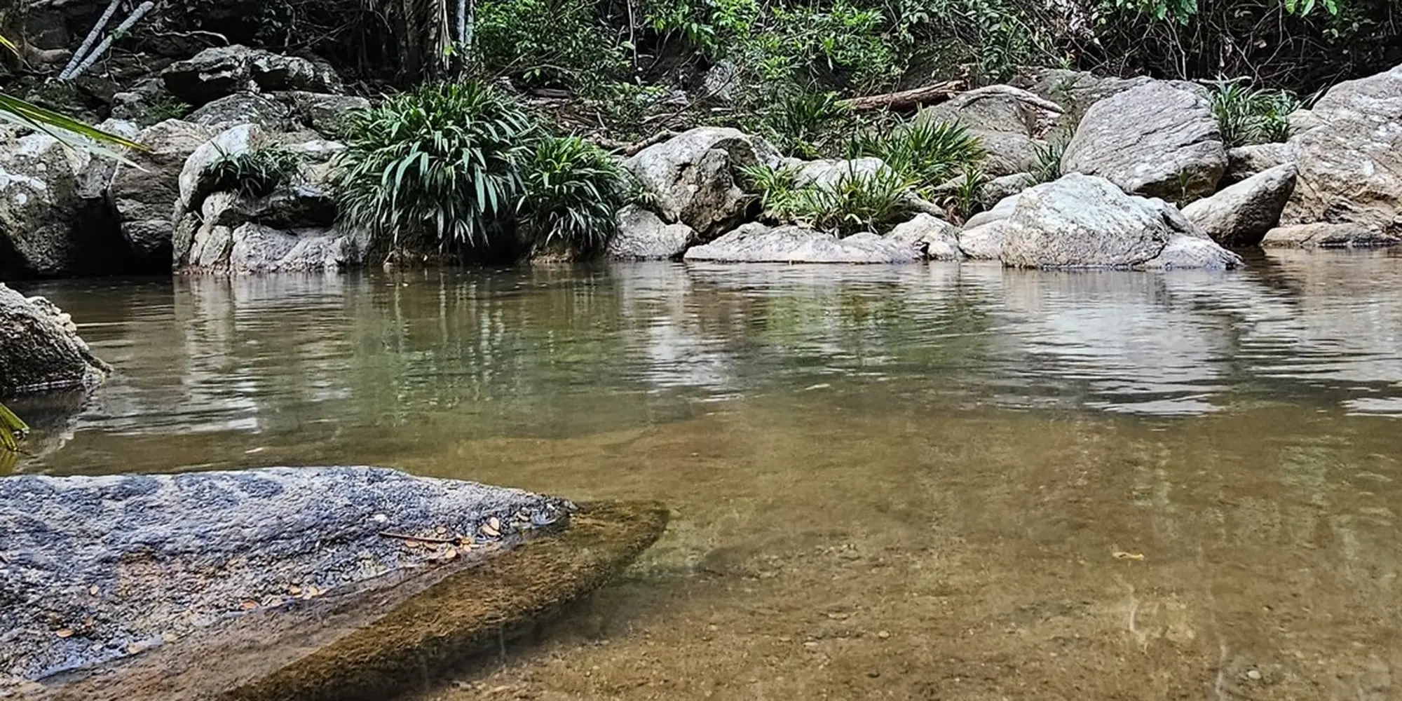 Cabaña Colibrí, foto 6